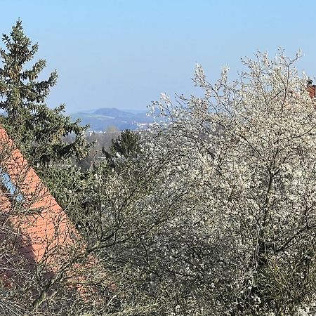 Ferienwohnung Drezno Zewnętrze zdjęcie